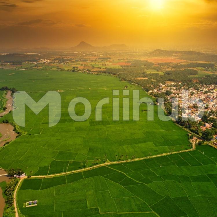 Sunrise Over the Green Fields