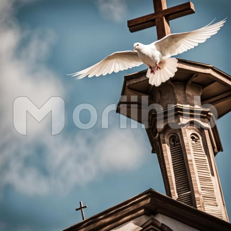 Feathers in sun light
