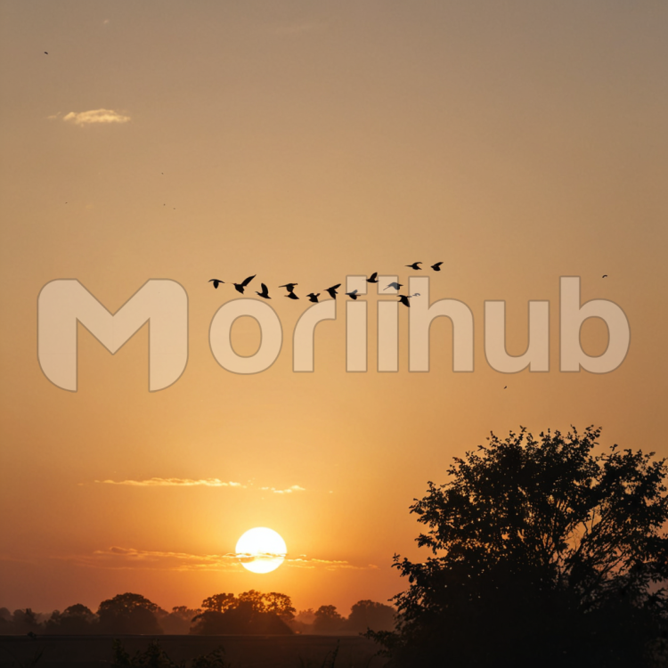 Flight into Twilight