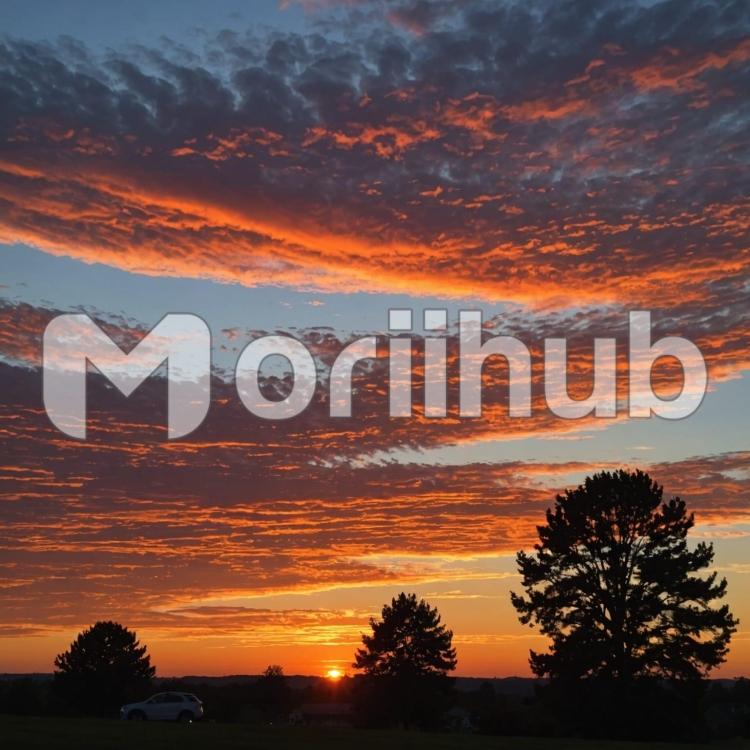 Transitioning Beauty