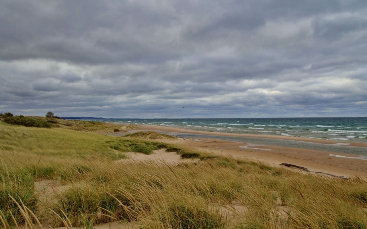 ocean-breeze-windswept-coastline-at-dusk